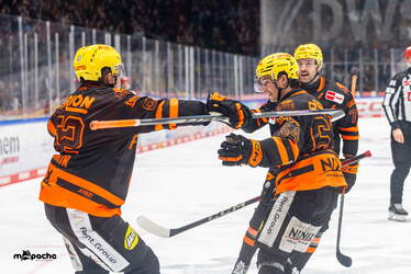 Löwen Frankfurt - Pinguins Bremerhaven - 25.2.26 - 111