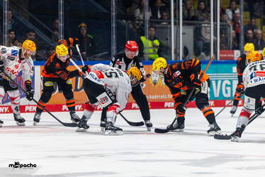 Löwen Frankfurt - Pinguins Bremerhaven - 25.2.26 - 118