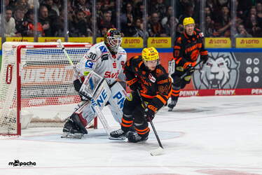 Löwen Frankfurt - Pinguins Bremerhaven - 25.2.26 - 120