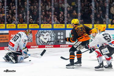Löwen Frankfurt - Pinguins Bremerhaven - 25.2.26 - 121