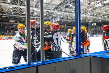 Löwen Frankfurt - Pinguins Bremerhaven - 25.2.26 - 125