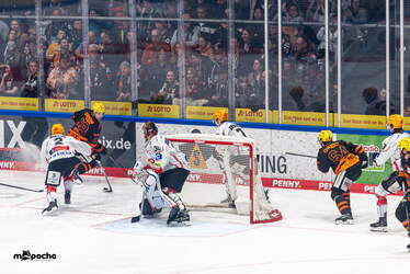 Löwen Frankfurt - Pinguins Bremerhaven - 25.2.26 - 017
