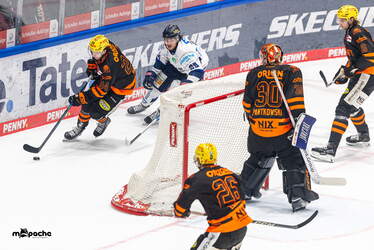 Löwen Frankfurt - Iserlohn Roosters - 6.3.26 - 078