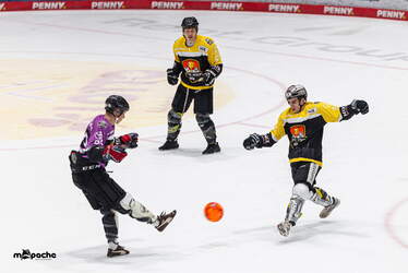 Löwen Frankfurt - Iserlohn Roosters - 6.3.26 - 130