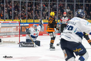 Löwen Frankfurt - Iserlohn Roosters - 6.3.26 - 135