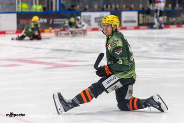 Löwen Frankfurt - Nürnberg Ice Tigers - 15.3.26 - 001