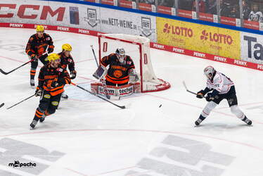 Löwen Frankfurt - Nürnberg Ice Tigers - 15.3.26 - 023