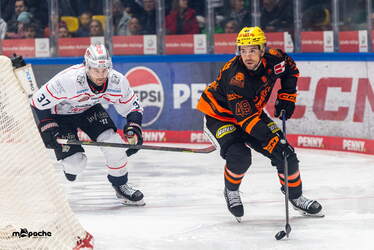 Löwen Frankfurt - Nürnberg Ice Tigers - 15.3.26 - 024