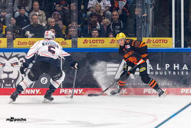 Löwen Frankfurt - Nürnberg Ice Tigers - 15.3.26 - 030