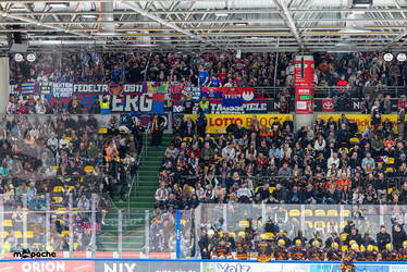 Löwen Frankfurt - Nürnberg Ice Tigers - 15.3.26 - 050