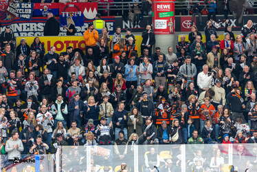 Löwen Frankfurt - Nürnberg Ice Tigers - 15.3.26 - 055