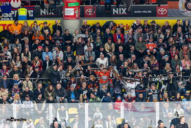 Löwen Frankfurt - Nürnberg Ice Tigers - 15.3.26 - 057