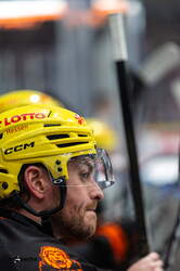 Löwen Frankfurt - Nürnberg Ice Tigers - 15.3.26 - 066