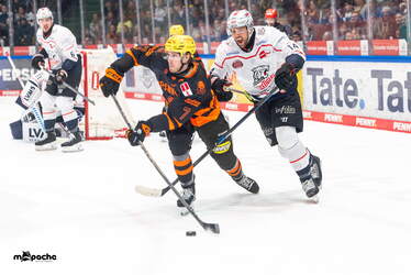 Löwen Frankfurt - Nürnberg Ice Tigers - 15.3.26 - 080