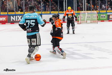 Löwen Frankfurt - Nürnberg Ice Tigers - 15.3.26 - 083