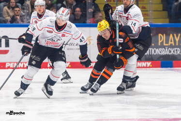 Löwen Frankfurt - Nürnberg Ice Tigers - 15.3.26 - 092
