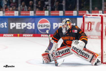 Löwen Frankfurt - Nürnberg Ice Tigers - 15.3.26 - 099