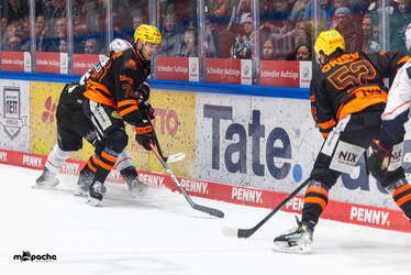 Löwen Frankfurt - Nürnberg Ice Tigers - 15.3.26 - 101