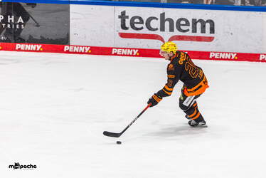 Löwen Frankfurt - Nürnberg Ice Tigers - 15.3.26 - 102