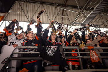 Löwen Frankfurt - Nürnberg Ice Tigers - 15.3.26 - 109