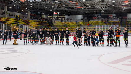 Löwen Frankfurt - Nürnberg Ice Tigers - 15.3.26 - 131