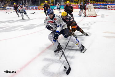 Vorbereitung - Löwen Frankfurt - ERC Ingolstadt - 12.9.26 - 081